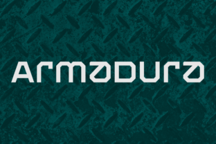 Discover the Versatile Armadura Family Font