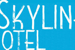 Elevate Your Web Design with Skyline Hotel Font