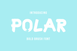 Enhance Your Brand with Polar, the Ice-Cold Display Font