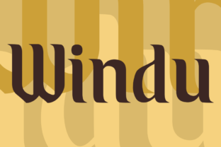 Enhance Your Brand with Windu: A Stylish Display Font