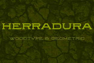 Herradura Family: A Versatile Display Font for Modern Branding