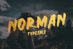 Norman: A Bold and Expressive Font for Your Brand