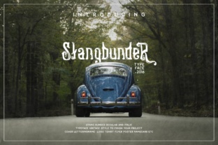 Stangbunder: A Vintage Display Font for Modern Design