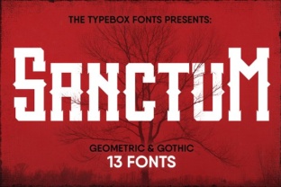 Transform Your Brand with Sanctum Inky Collection